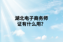 湖北电子商务师怎么考？