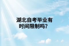 湖北电子商务师证有什么用？